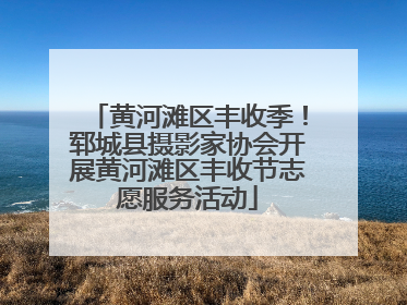 黄河滩区丰收季！郓城县摄影家协会开展黄河滩区丰收节志愿服务活动