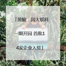 黄陂：因大联科一期开园 首批14家企业入驻
