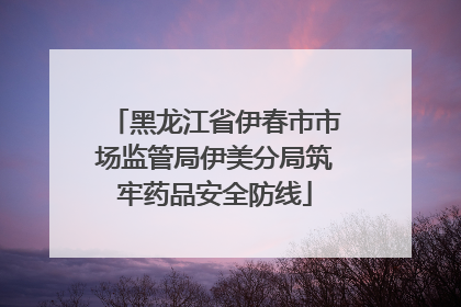 黑龙江省伊春市市场监管局伊美分局筑牢药品安全防线