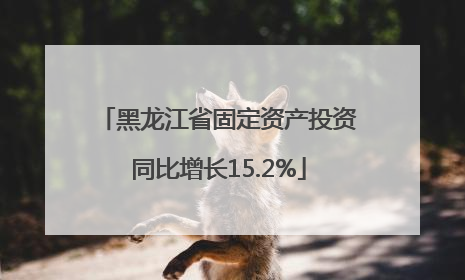 黑龙江省固定资产投资同比增长15.2%