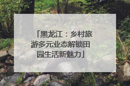 黑龙江：乡村旅游多元业态解锁田园生活新魅力