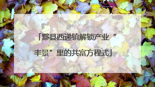 黟县西递镇解锁产业“丰景”里的共富方程式