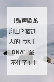 鼓声歇龙舟归？宿迁人的“水上DNA”藏不住了！