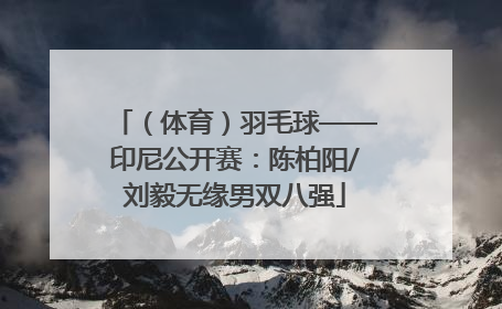 （体育）羽毛球——印尼公开赛：陈柏阳/刘毅无缘男双八强