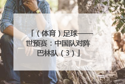 （体育）足球——世预赛：中国队对阵巴林队（3）