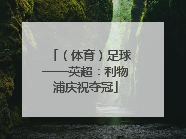 （体育）足球——英超：利物浦庆祝夺冠