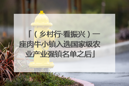 （乡村行·看振兴）一座肉牛小镇入选国家级农业产业强镇名单之后