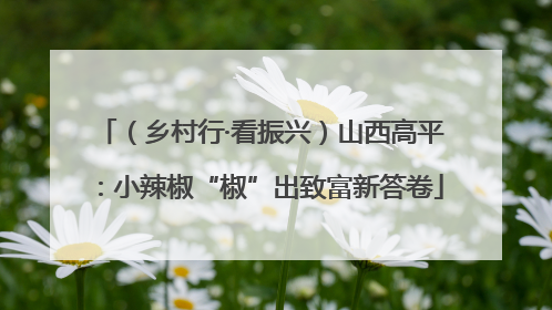 （乡村行·看振兴）山西高平：小辣椒“椒”出致富新答卷