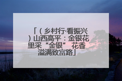 （乡村行·看振兴）山西高平：金银花里采“金银” 花香溢满致富路