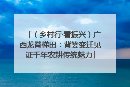 （乡村行·看振兴）广西龙脊梯田：背篓变迁见证千年农耕传统魅力