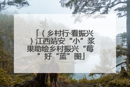 （乡村行·看振兴）江西靖安“小”浆果助绘乡村振兴“莓”好“蓝”图