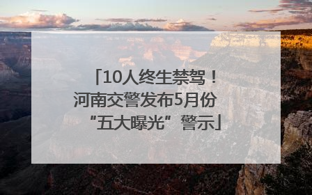 10人终生禁驾！河南交警发布5月份“五大曝光”警示
