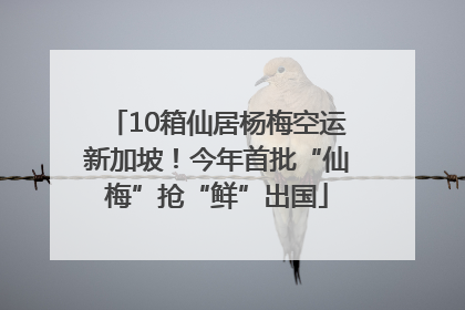10箱仙居杨梅空运新加坡！今年首批“仙梅”抢“鲜”出国
