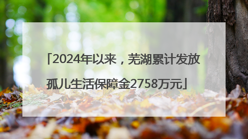 2024年以来，芜湖累计发放孤儿生活保障金2758万元