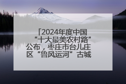 2024年度中国“十大最美农村路”公布，枣庄市台儿庄区“鲁风运河”古城文化廊道上榜！