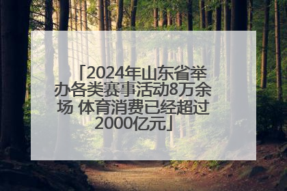 2024年山东省举办各类赛事活动8万余场 体育消费已经超过2000亿元