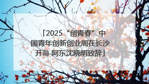 2025“创青春”中国青年创新创业周在长沙开幕 阿东沈晓明致辞