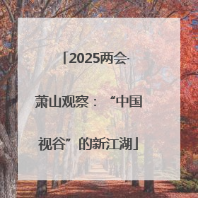 2025两会·萧山观察：“中国视谷”的新江湖
