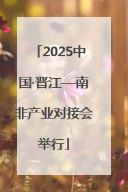 2025中国·晋江—南非产业对接会举行