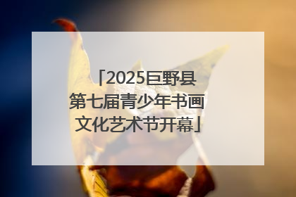 2025巨野县第七届青少年书画文化艺术节开幕