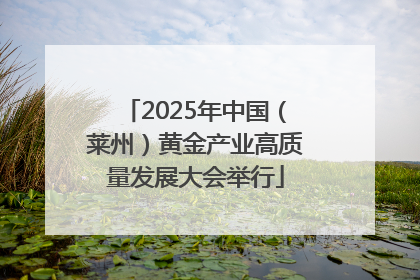 2025年中国（莱州）黄金产业高质量发展大会举行