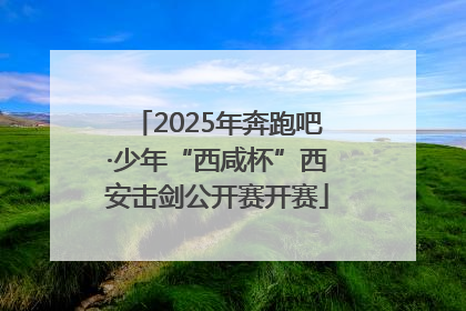 2025年奔跑吧·少年“西咸杯”西安击剑公开赛开赛
