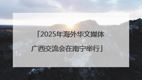 2025年海外华文媒体广西交流会在南宁举行
