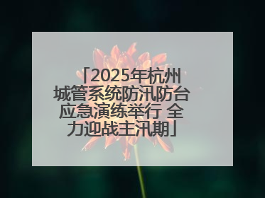 2025年杭州城管系统防汛防台应急演练举行 全力迎战主汛期