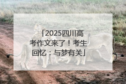 2025四川高考作文来了！考生回忆：与梦有关