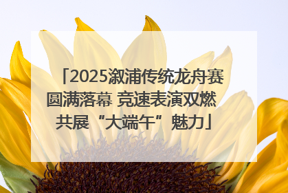 2025溆浦传统龙舟赛圆满落幕 竞速表演双燃 共展“大端午”魅力