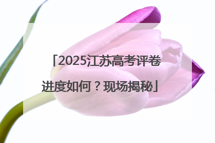 2025江苏高考评卷进度如何？现场揭秘