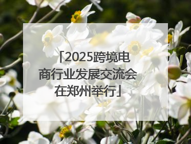 2025跨境电商行业发展交流会在郑州举行