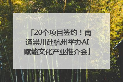20个项目签约！南通崇川赴杭州举办AI赋能文化产业推介会