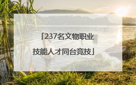 237名文物职业技能人才同台竞技
