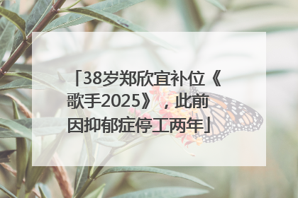 38岁郑欣宜补位《歌手2025》，此前因抑郁症停工两年