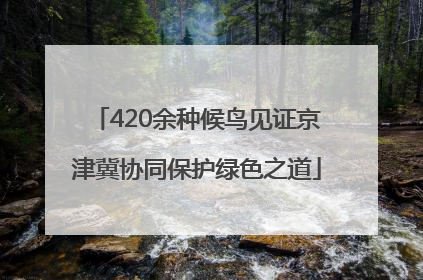 420余种候鸟见证京津冀协同保护绿色之道