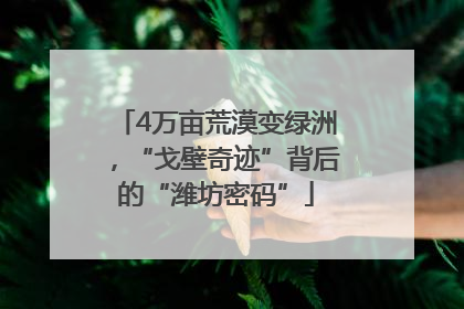 4万亩荒漠变绿洲，“戈壁奇迹”背后的“潍坊密码”