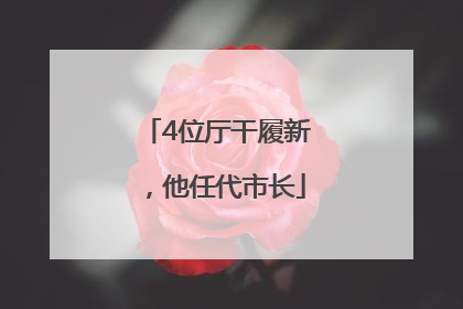 4位厅干履新，他任代市长
