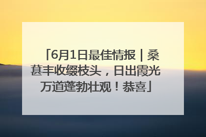 6月1日最佳情报｜桑葚丰收缀枝头，日出霞光万道蓬勃壮观！恭喜