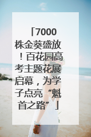 7000株金葵盛放！百花园高考主题花展启幕，为学子点亮“魁首之路”