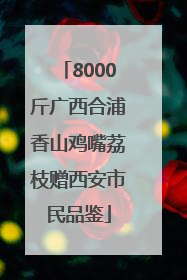 8000斤广西合浦香山鸡嘴荔枝赠西安市民品鉴