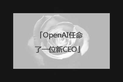 OpenAI任命了一位新CEO