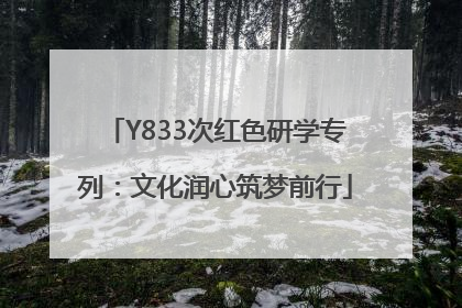 Y833次红色研学专列：文化润心筑梦前行